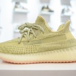 Adidas Yeezy Boost 350V2 Antlia